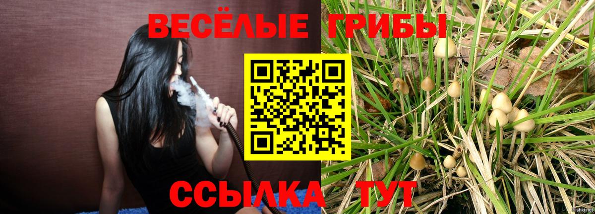 Галлюциногенные грибы GOLDEN TEACHER Кирово-Чепецк